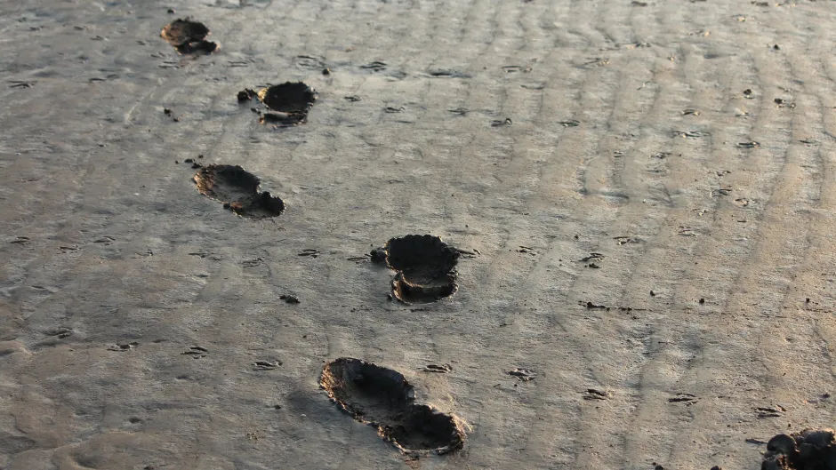 Rubrik_Politik_und_Recht_Fussabdruck_c._Pixabay_footprints-284708_1920